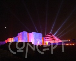 {short description of image}