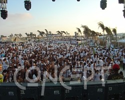 {short description of image}