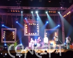 {short description of image}