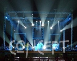 {short description of image}