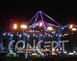 {short description of image}