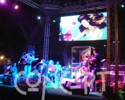 {short description of image}