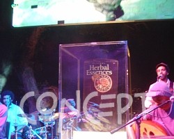 {short description of image}