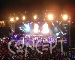 {short description of image}