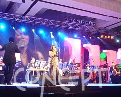 {short description of image}