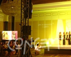 {short description of image}