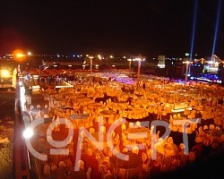 {short description of image}