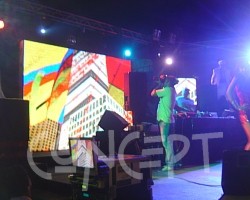 {short description of image}