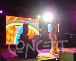 {short description of image}