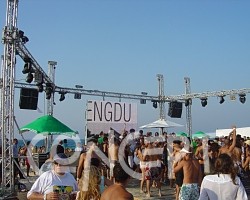 {short description of image}