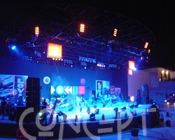 {short description of image}